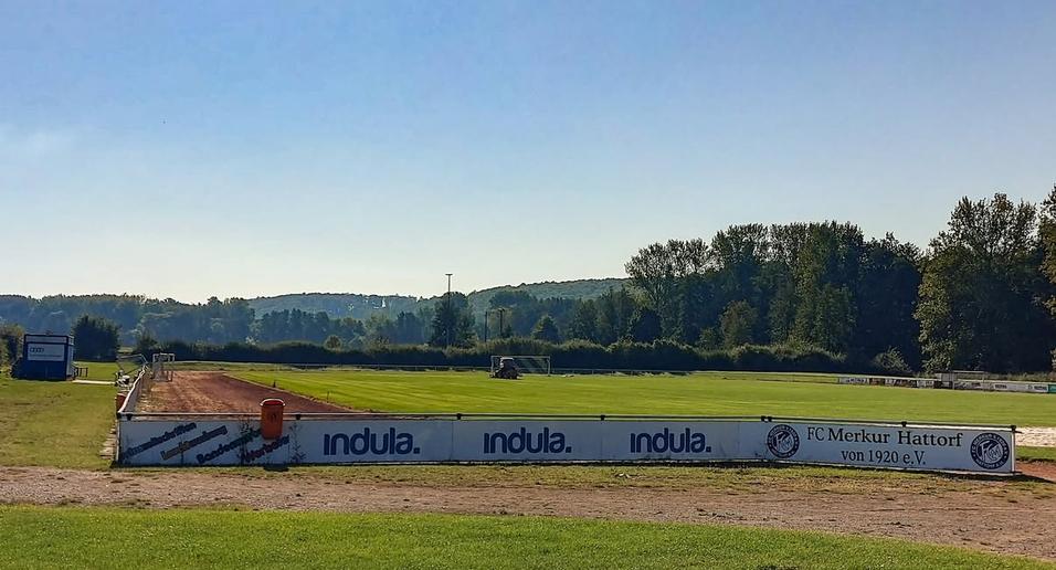 Blick auf einen Sportplatz mit Werbebande und angrenzender Natur, unter blauem Himmel und Sonnenschein.