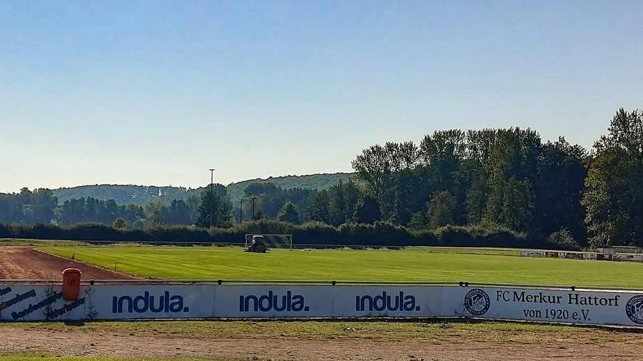 Blick auf einen Sportplatz mit Werbebande und angrenzender Natur, unter blauem Himmel und Sonnenschein.